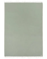 Sonoran Blanket Sage